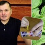 Kako doma preveriti kislost tal: pet najboljših metod
