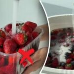 Kako pravilno oprati jagode: preprost in učinkovit način