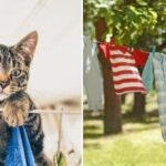 Katerih oblačil ne smete sušiti na soncu: lifehack, kako ne