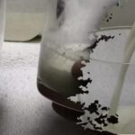 V nekaj sekundah in brez kemikalij: kako doma preveriti svežino